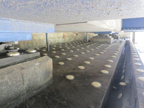 Bird Control Bird Free Optical Gel Australia